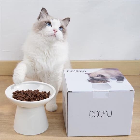 Extra Wide Elevated Ceramic Cat Bowl - 6.2" Shallow Dish for Whisker Fatigue - Picture 4 of 7